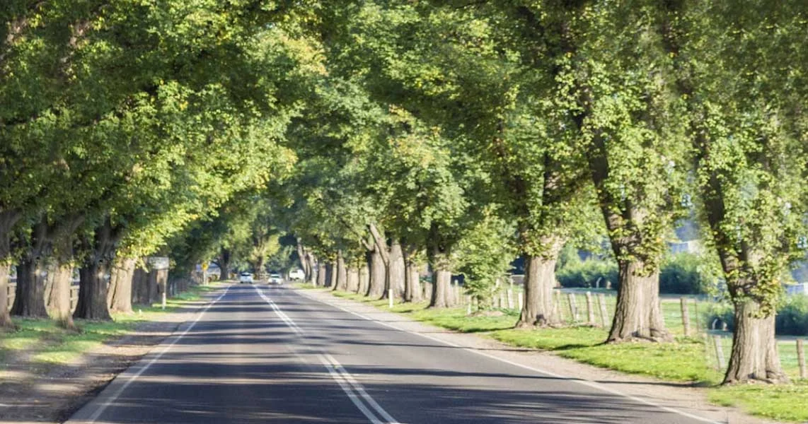 Land: Orchard Square Project Image3